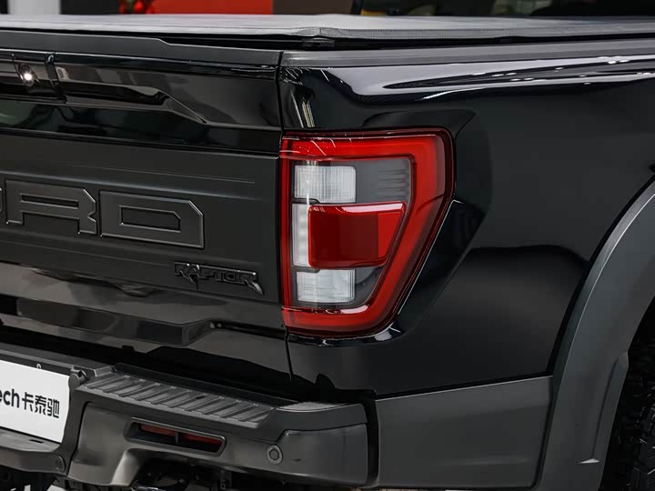 Ford F-150 Raptor, 2023 — фото 9 из 9
