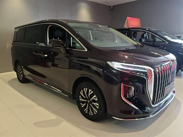 Hongqi HQ9 Hybrid, 2024 — фото 4 из 9