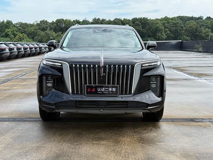 Hongqi E-HS9, 2023 — фото 2 из 9