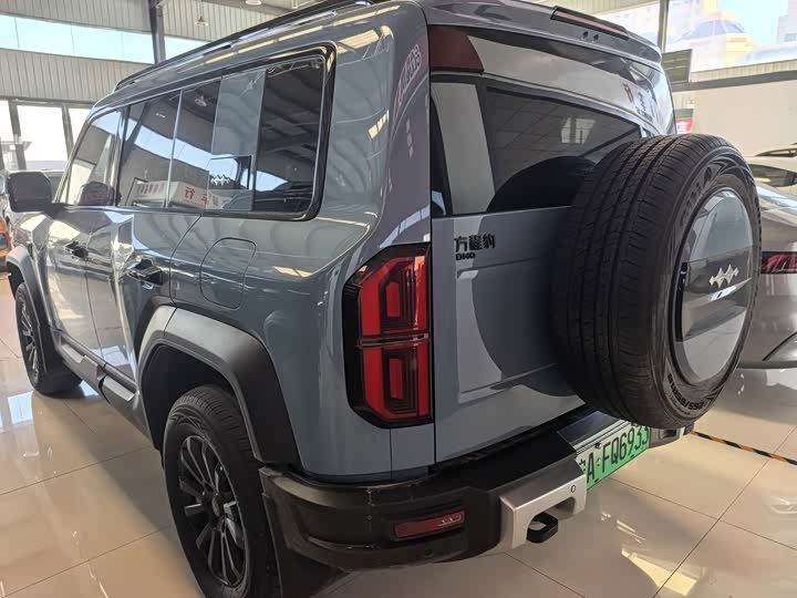 BYD FangChengBao Leopard 5, 2024 — фото 4 из 9