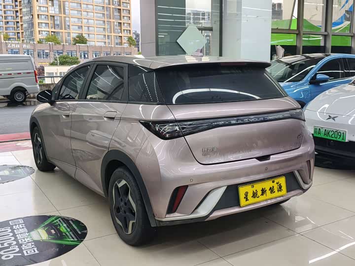 BYD Dolphin, 2022 — фото 9 из 9