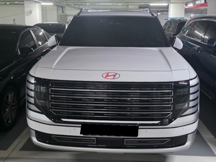 Hyundai Palisade, 2024 — купить в Санкт-Петербурге под ключ