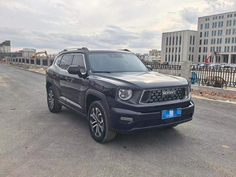Haval H-Dog, 2023 — фото 3 из 10