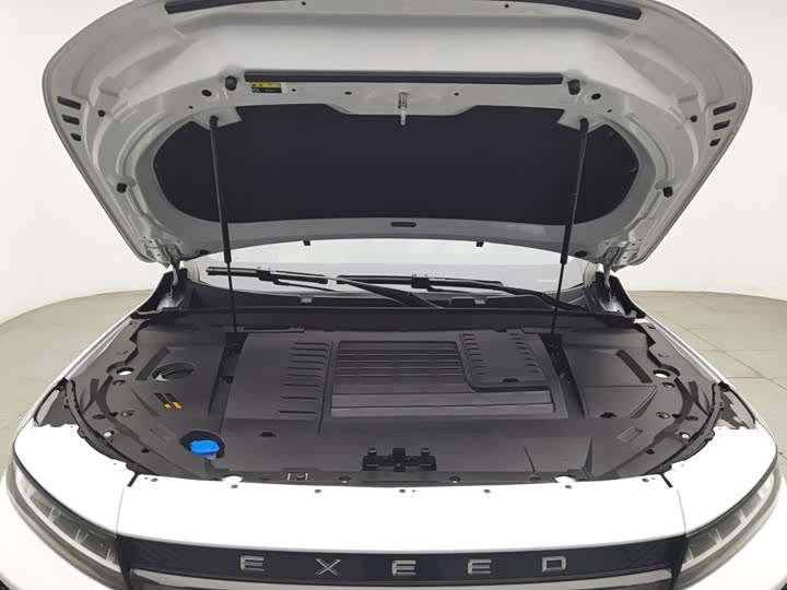 Exeed LX C-DM Hybrid, 2025 — фото 6 из 9