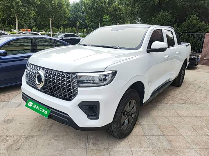 Great Wall Pao, 2024 — купить в Ижевске под ключ