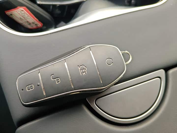 BYD Sea Lion 06 Hybrid/EV, 2025 — фото 9 из 9