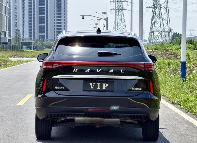 Haval H6, 2023 — фото 6 из 11