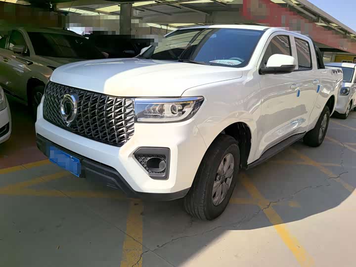 Great Wall Pao, 2024 — купить в Санкт-Петербурге под ключ