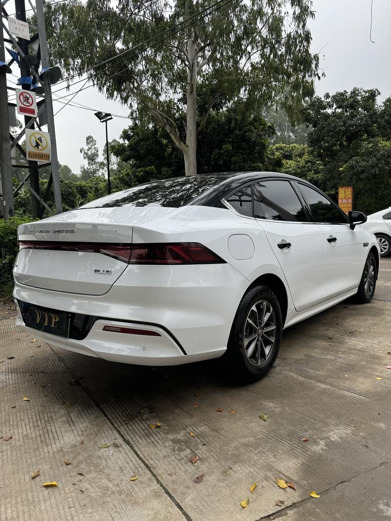 BYD Qin Plus, 2024 — фото 5 из 10