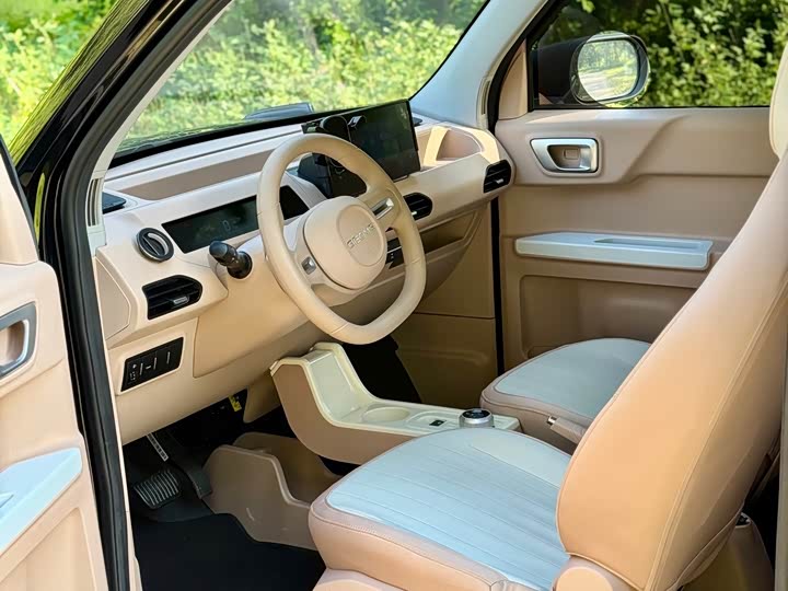 Geely Galaxy Panda Mini, 2024 — фото 7 из 9