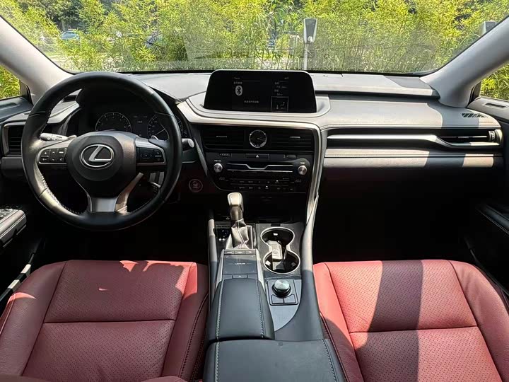 Lexus RX, 2022 — фото 9 из 9
