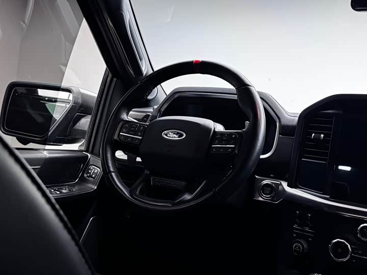 Ford F-150 Raptor, 2023 — фото 9 из 9