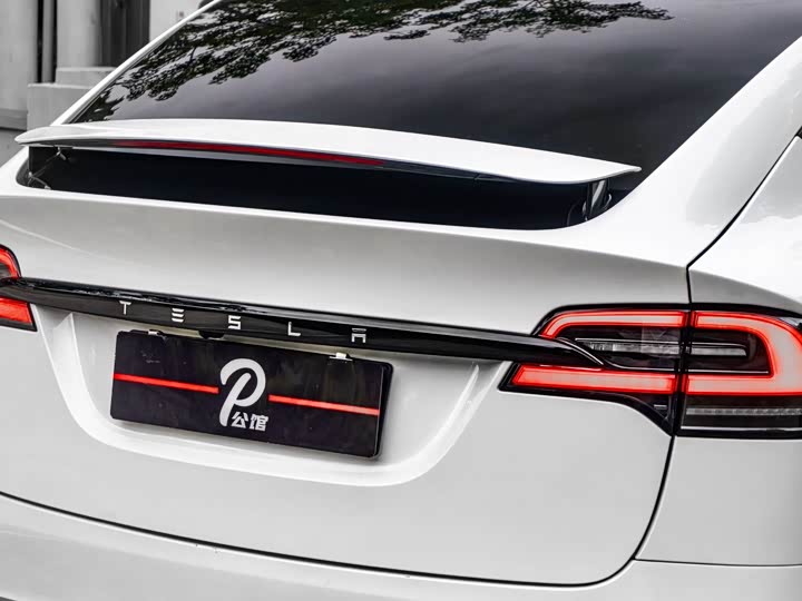 Tesla Model X, 2022 — фото 8 из 9