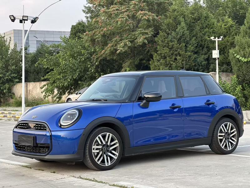 Mini Mini, 2025 — купить в Саранске под ключ