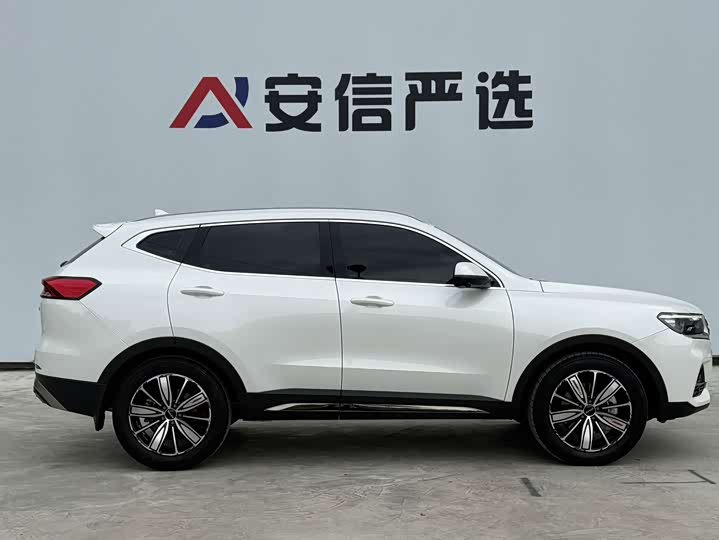Haval H6, 2023 — фото 7 из 9