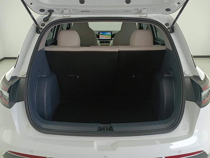 Geely Galaxy Geome, 2025 — фото 4 из 9