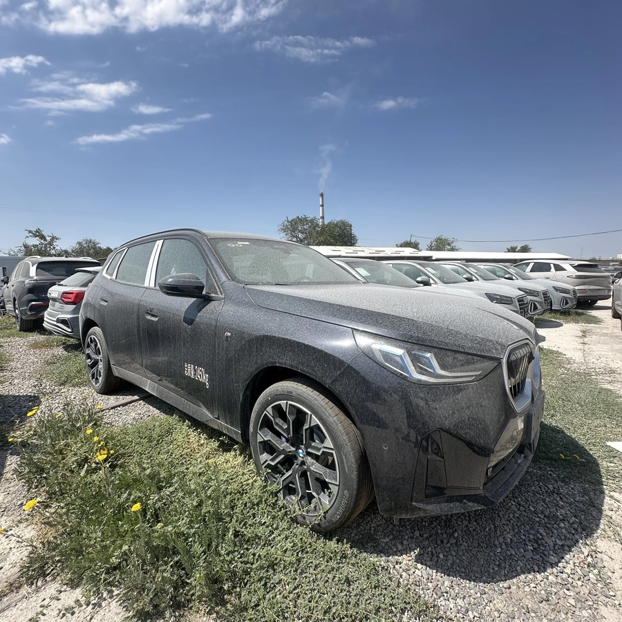 BMW X3, 2025 — фото 6 из 6