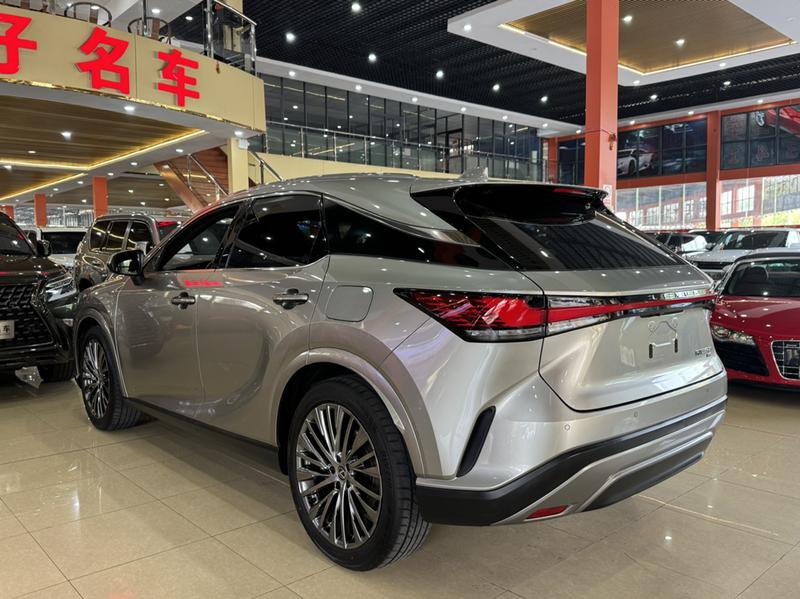 Lexus RX, 2023 — фото 4 из 12