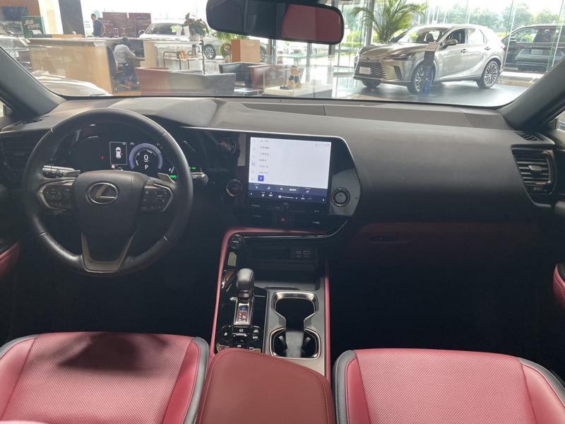 Lexus NX Hybrid, 2023 — фото 6 из 12