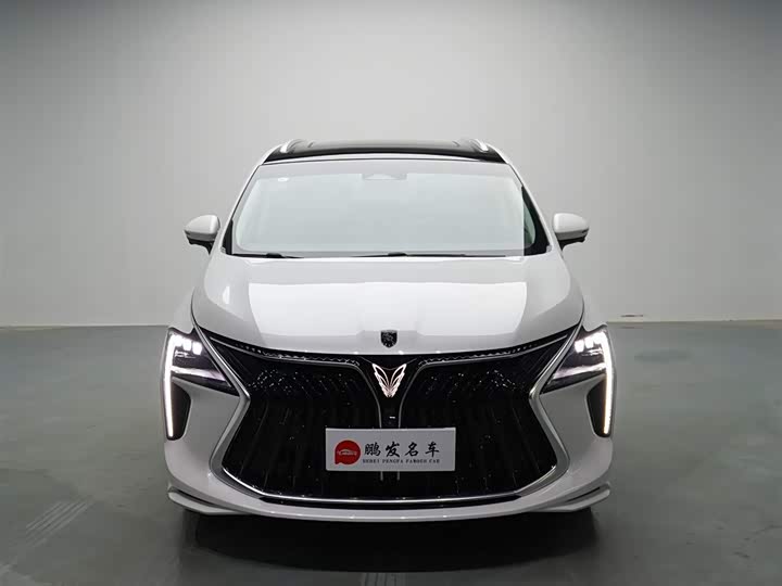 Dongfeng Forthing Yacht, 2024 — фото 2 из 9