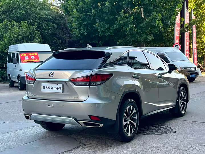 Lexus RX, 2022 — фото 7 из 9