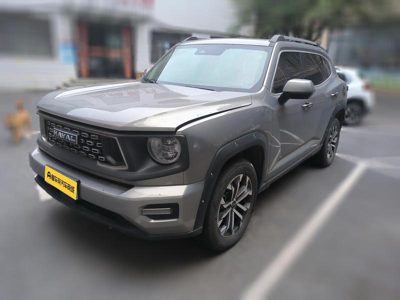 Haval H-Dog, 2023 — купить в Белгороде под ключ