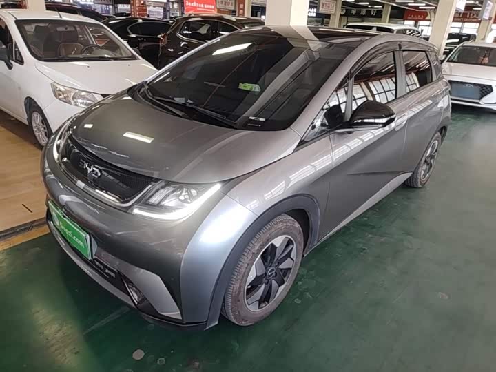 BYD Dolphin, 2024 — купить в Санкт-Петербурге под ключ