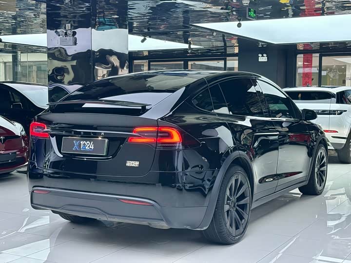 Tesla Model X, 2023 — фото 4 из 9