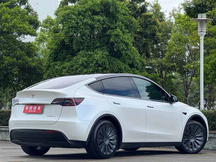 Tesla Model Y, 2023 — фото 4 из 9