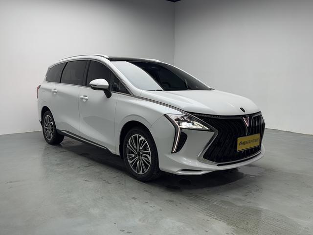 Dongfeng Forthing Yacht, 2024 — фото 3 из 12