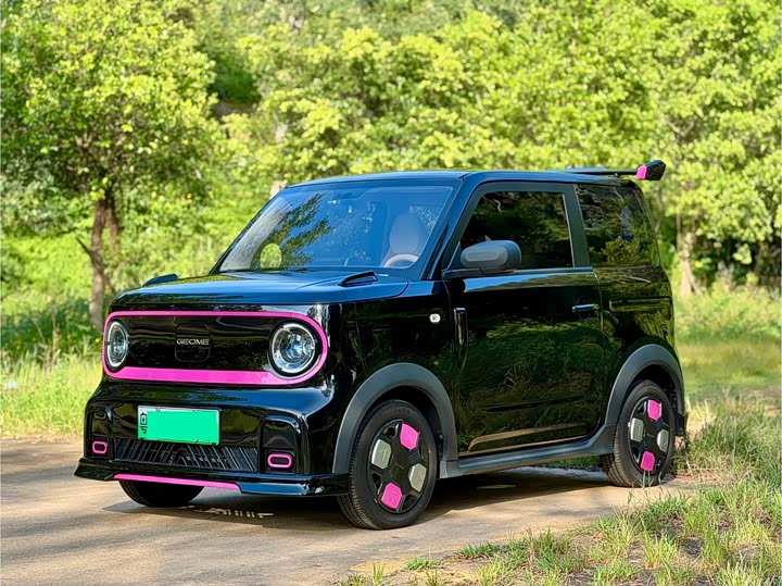 Geely Galaxy Panda Mini, 2024 — купить в Чебоксарах под ключ