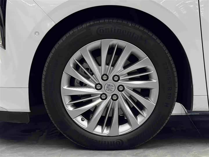 Buick GL8 Century, 2023 — фото 4 из 9