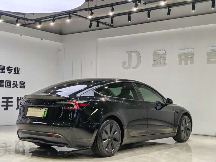 Tesla Model 3, 2025 — фото 9 из 9