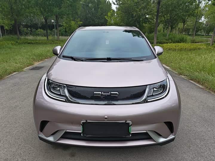 BYD Dolphin, 2023 — фото 3 из 9