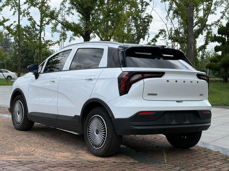 Geely Geometry E Firefly, 2024 — фото 5 из 12