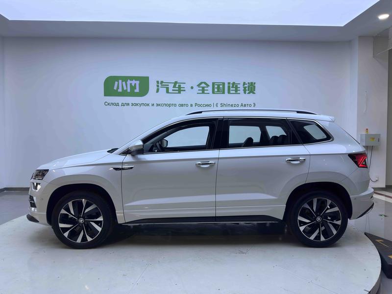 Skoda Karoq, 2025 — фото 4 из 12