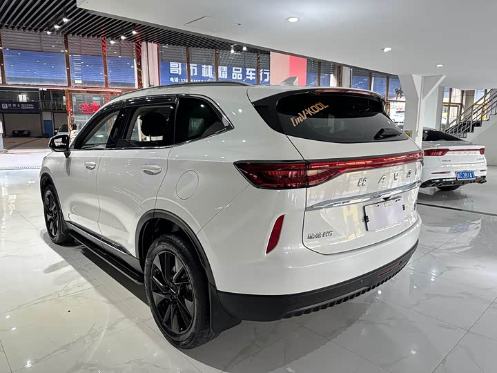 Haval H6, 2021 — фото 4 из 9