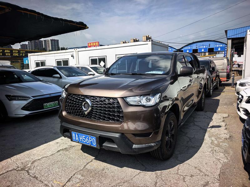 Great Wall Pao, 2023 — купить в Липецке под ключ