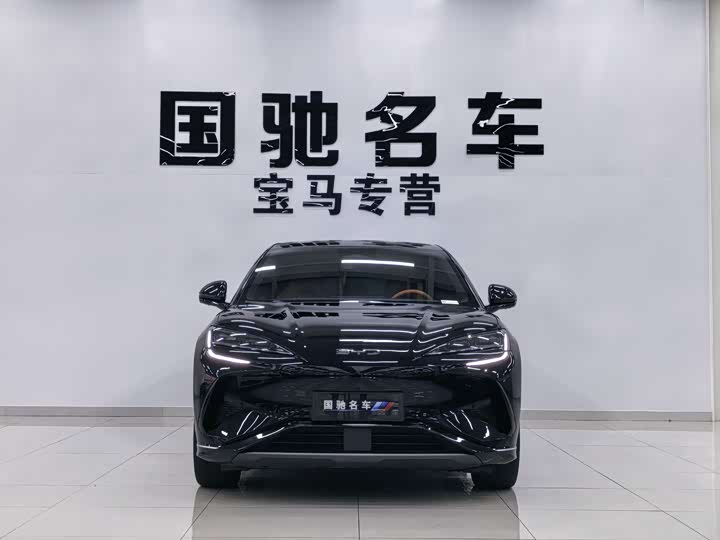 BYD Sea Lion 07 EV, 2024 — фото 2 из 9