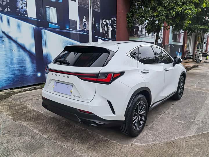Lexus NX, 2026 — фото 7 из 9