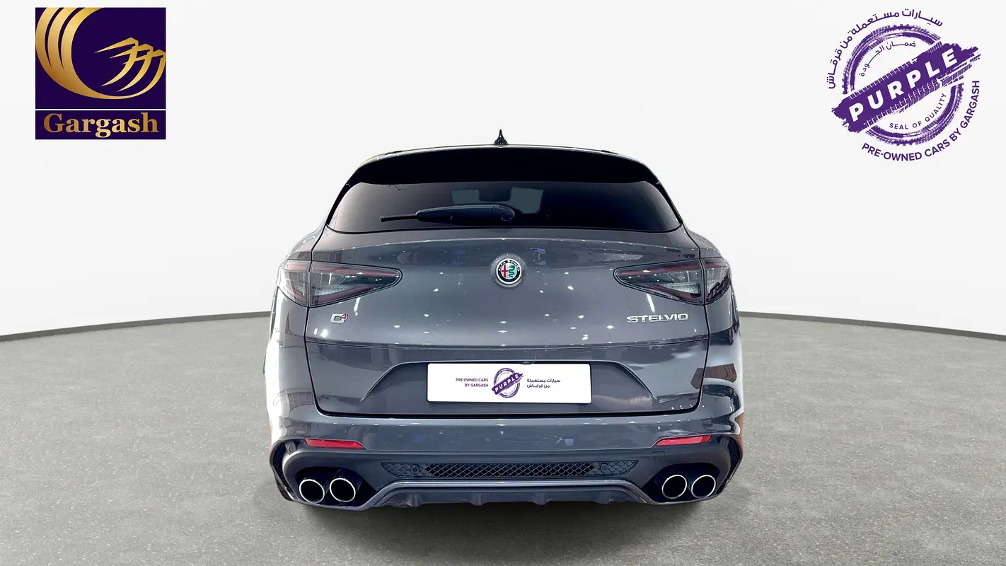 Alfa Romeo Stelvio, 2023 — фото 6 из 10