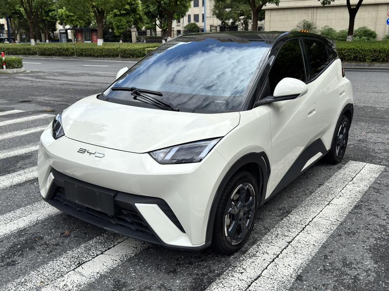 BYD Seagull, 2023 — купить в Самаре под ключ