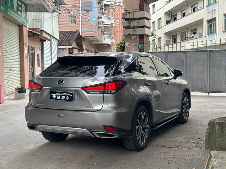 Lexus RX, 2022 — фото 9 из 9