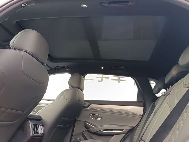 BYD Song L DM-i Hybrid, 2024 — фото 9 из 9