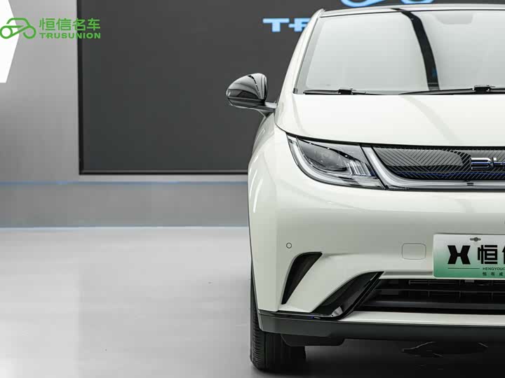 BYD Dolphin, 2024 — фото 8 из 9