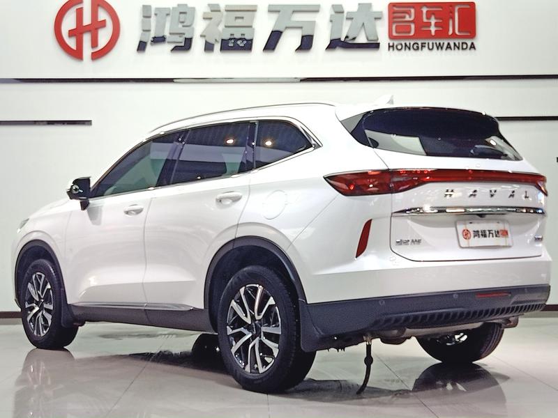 Haval H6, 2021 — фото 5 из 12