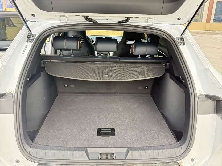 BYD Song Plus Hybrid/EV, 2023 — фото 8 из 9