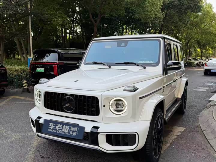 Mercedes-Benz G-Class, 2022 — фото 6 из 9