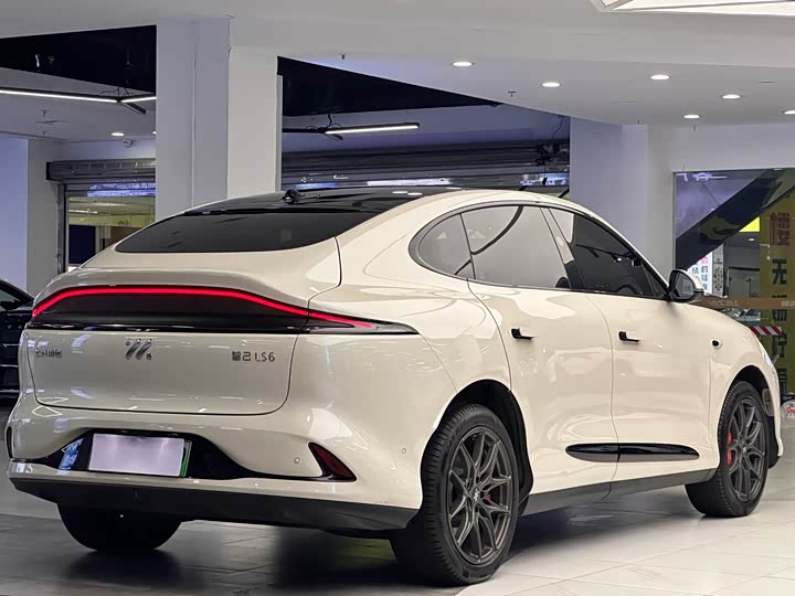 IM motors LS6, 2024 — фото 3 из 9