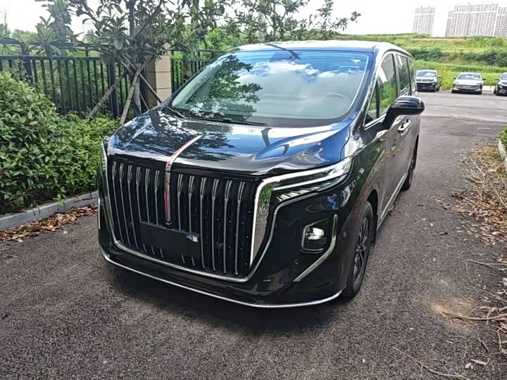 Hongqi HQ9 Hybrid, 2024 — фото 2 из 9